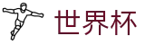 FIFA世界杯中国竞猜中心 · 小组赛分组抽签时间及出线规则解析